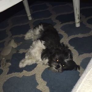 Meet your Posher, Michael